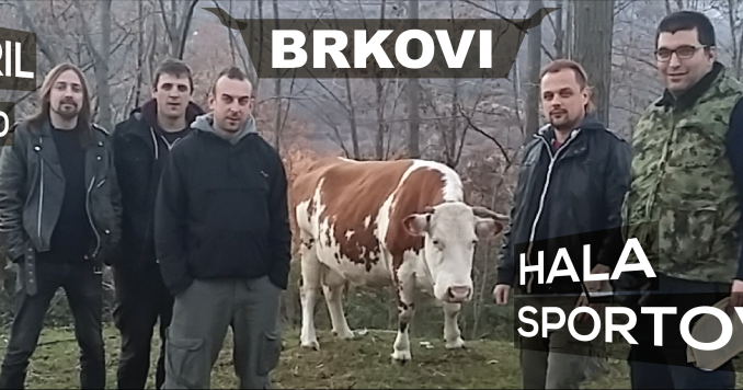 BRKOVI - Hala sportova, Tiket Klub