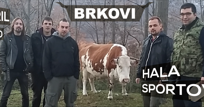 BRKOVI - Hala sportova, Tiket Klub BRKOVI - Hala sportova, Tiket Klub