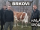 BRKOVI - Hala sportova, Tiket Klub